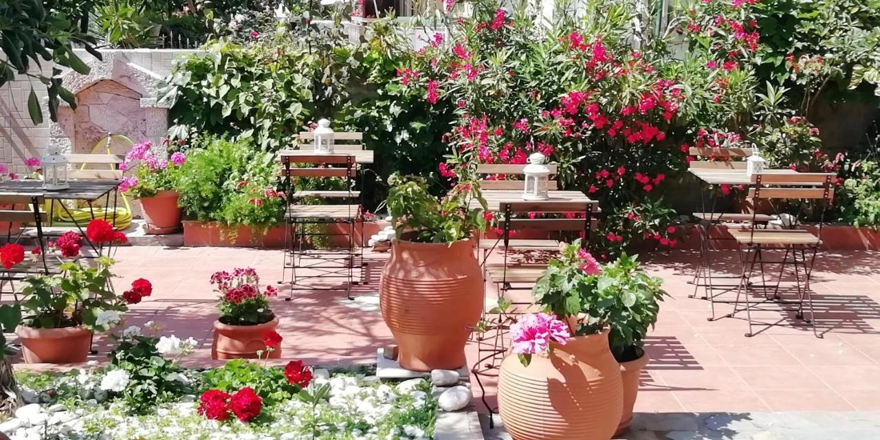 Nefeli Studios Loutra Edipsou  Dış mekan fotoğraf